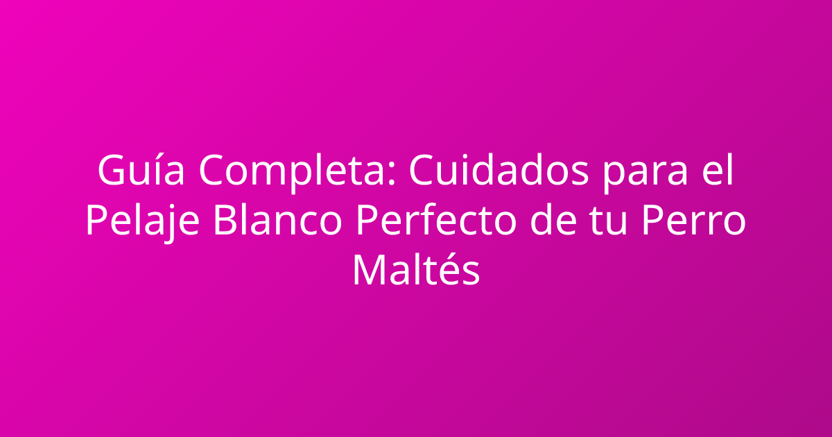 Guía Completa: Cuidados para el Pelaje Blanco Perfecto de tu Perro Maltés
