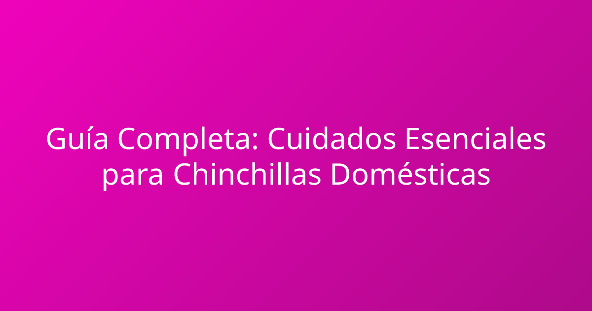 Guía Completa: Cuidados Esenciales para Chinchillas Domésticas