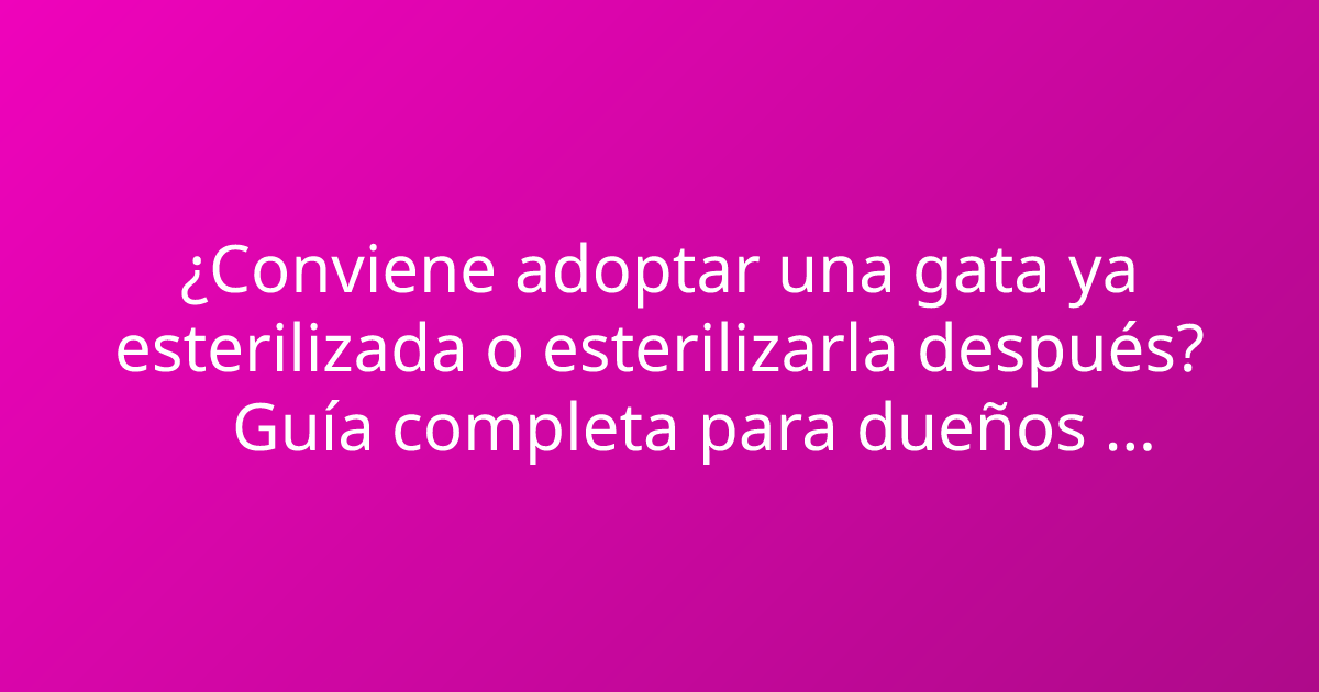¿Conviene adoptar una gata ya esterilizada o esterilizarla después? Guía completa para dueños responsables