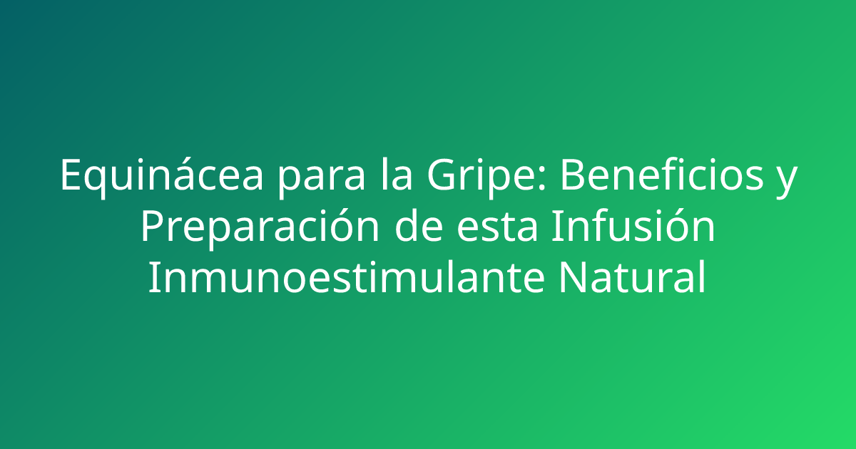 Equinácea para la Gripe: Beneficios y Preparación de esta Infusión Inmunoestimulante Natural