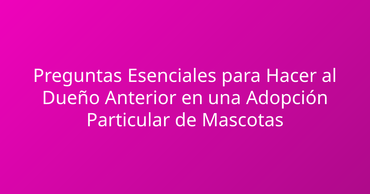 Preguntas Esenciales para Hacer al Dueño Anterior en una Adopción Particular de Mascotas
