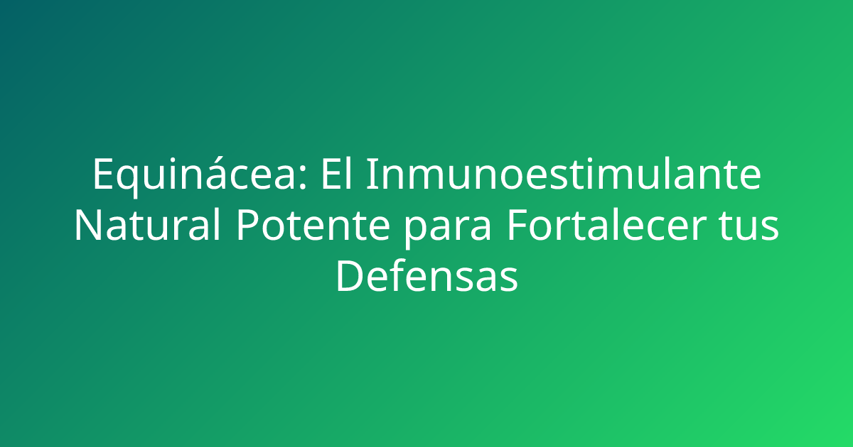 Equinácea: El Inmunoestimulante Natural Potente para Fortalecer tus Defensas
