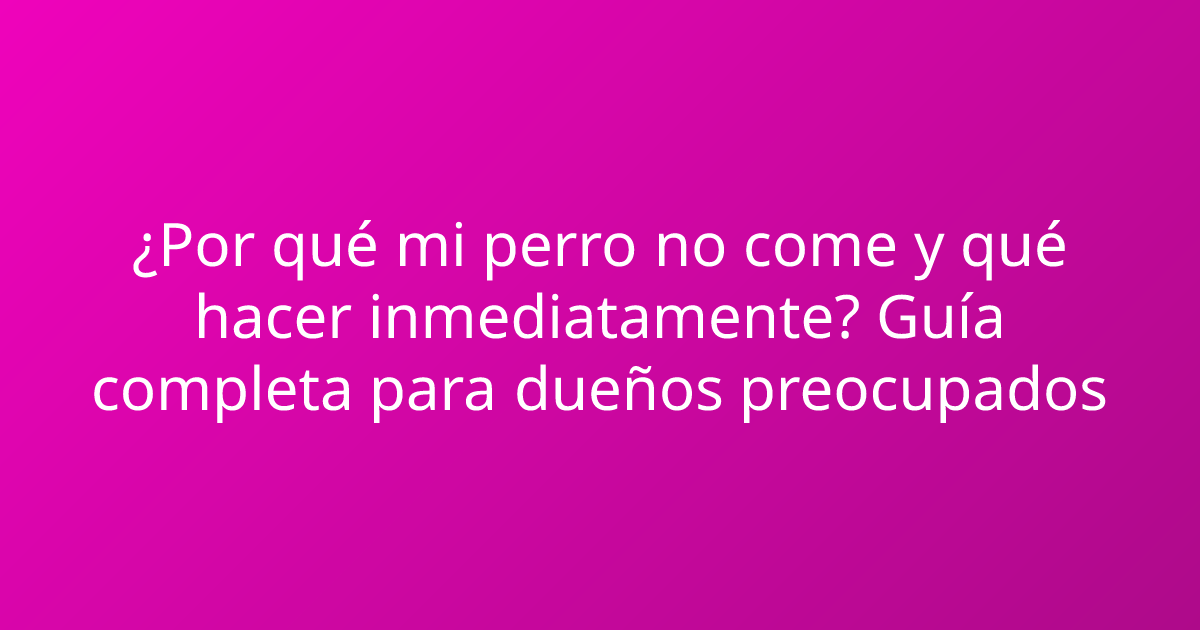 ¿Por qué mi perro no come y qué hacer inmediatamente? Guía completa para dueños preocupados