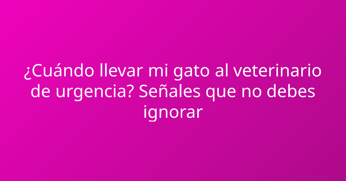 ¿Cuándo llevar mi gato al veterinario de urgencia? Señales que no debes ignorar