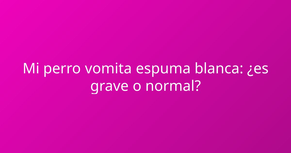 Mi perro vomita espuma blanca: ¿es grave o normal?