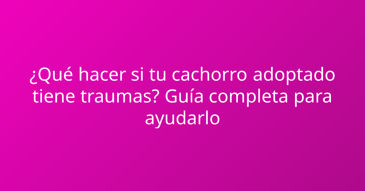 ¿Qué hacer si tu cachorro adoptado tiene traumas? Guía completa para ayudarlo