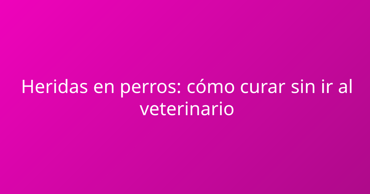 Heridas en perros: cómo curar sin ir al veterinario