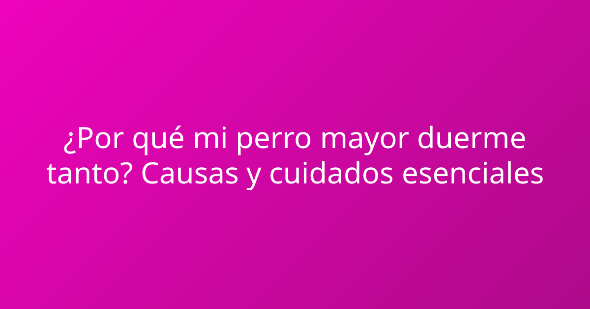 ¿Por qué mi perro mayor duerme tanto? Causas y cuidados esenciales