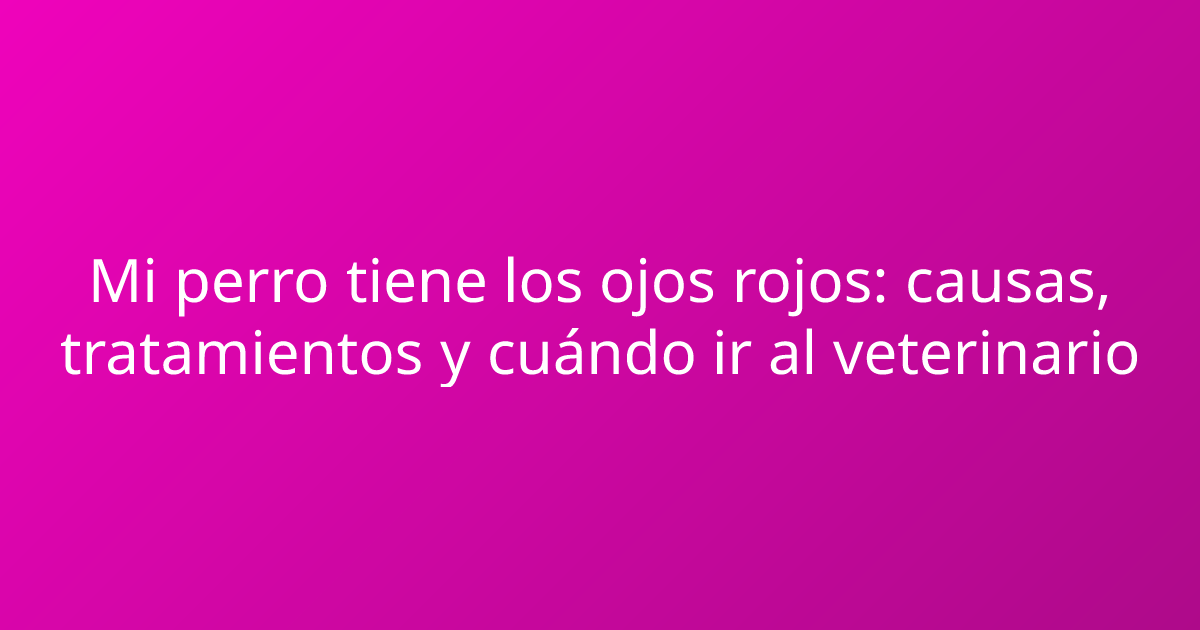 Mi perro tiene los ojos rojos: causas, tratamientos y cuándo ir al veterinario