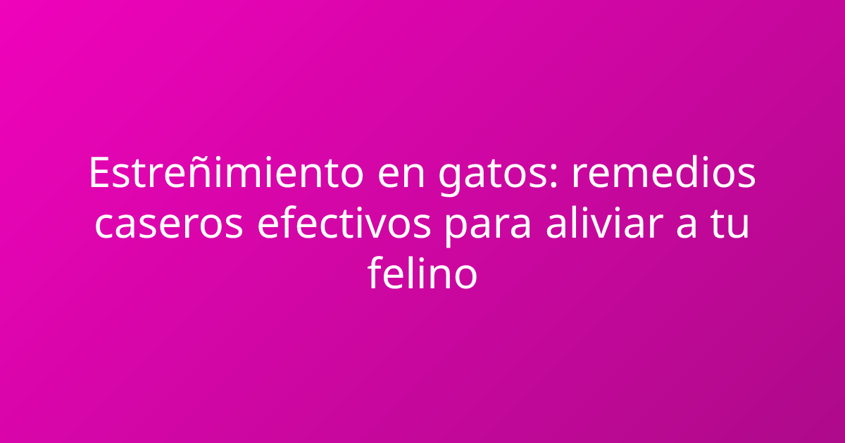 Estreñimiento en gatos: remedios caseros efectivos para aliviar a tu felino