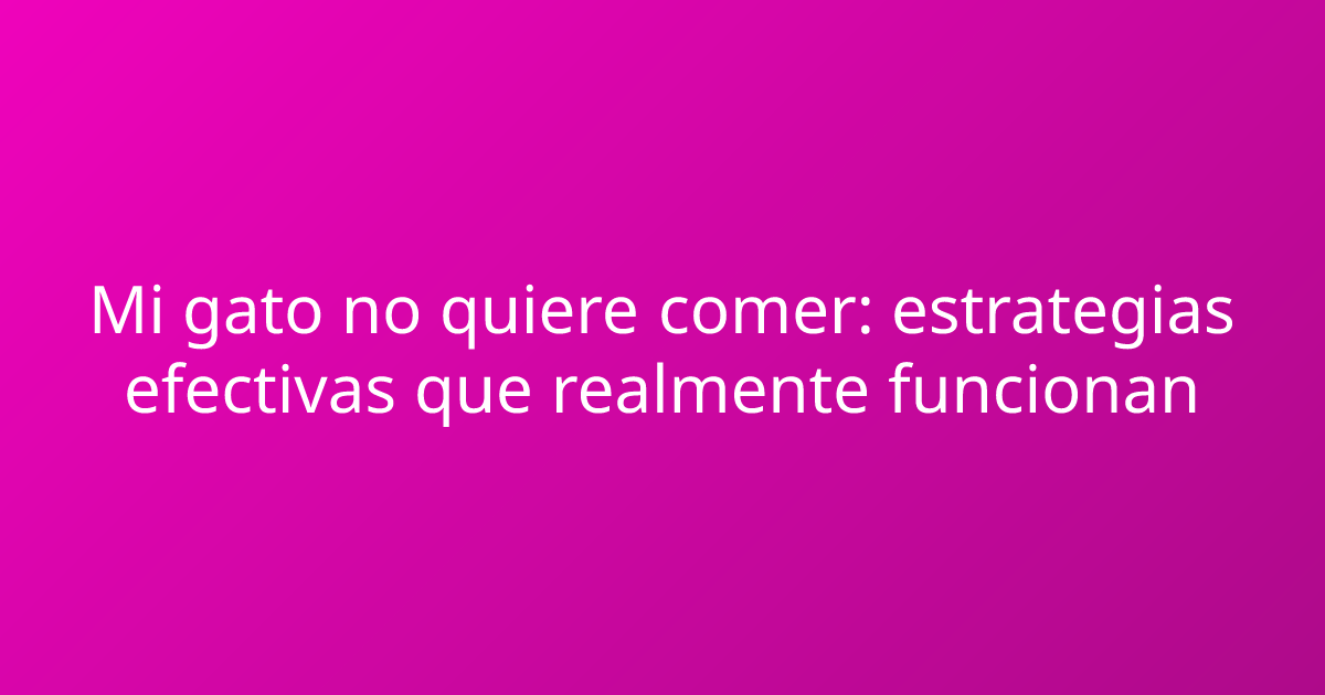 Mi gato no quiere comer: estrategias efectivas que realmente funcionan