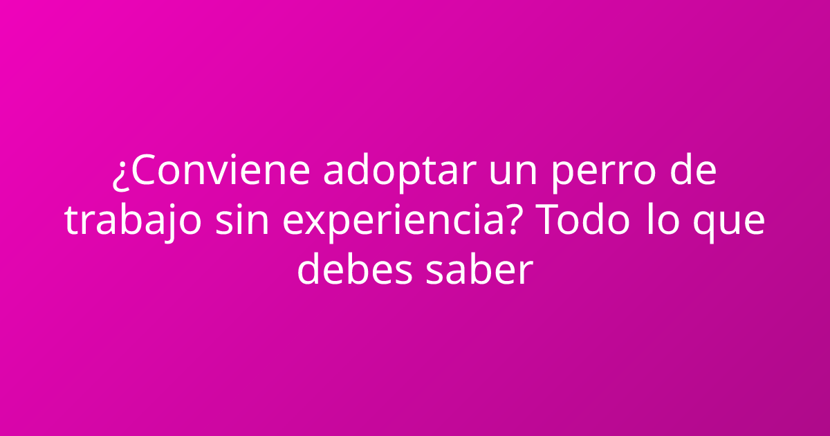 ¿Conviene adoptar un perro de trabajo sin experiencia? Todo lo que debes saber