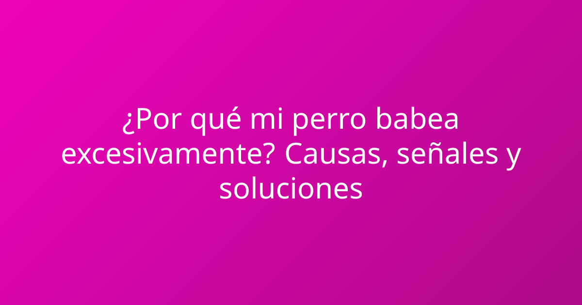 ¿Por qué mi perro babea excesivamente? Causas, señales y soluciones