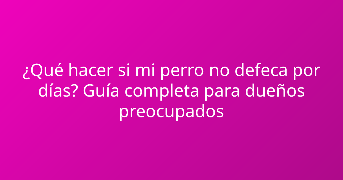 ¿Qué hacer si mi perro no defeca por días? Guía completa para dueños preocupados