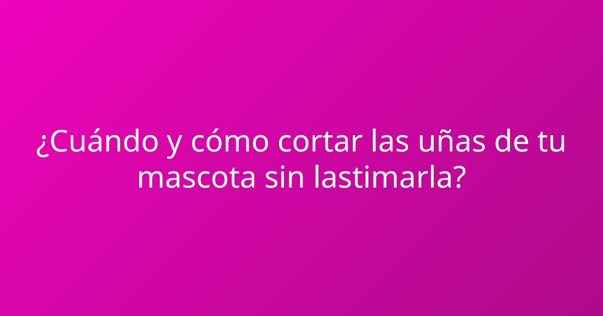 ¿Cuándo y cómo cortar las uñas de tu mascota sin lastimarla?