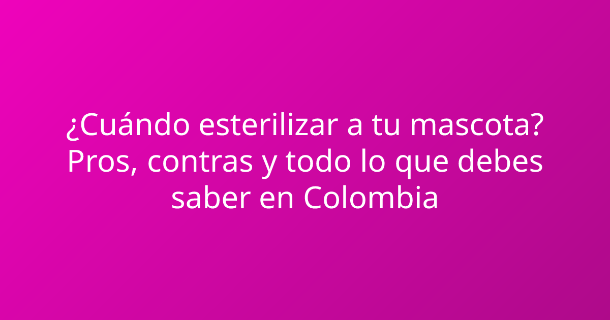 ¿Cuándo esterilizar a tu mascota? Pros, contras y todo lo que debes saber en Colombia