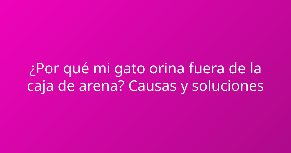 ¿Por qué mi gato orina fuera de la caja de arena? Causas y soluciones