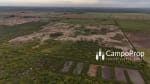 VENTA CAMPO 53,5 HAS. LINDERAS A ZONA SUB URBANA DE CIUDAD TOSTADO, SANTA FE - Miniatura 28