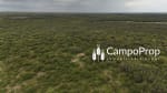 Campo de 315 has en venta en Logroño, Santa Fe - Miniatura 4