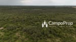 Campo de 315 has en venta en Logroño, Santa Fe - Miniatura 2