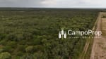 Campo de 315 has en venta en Logroño, Santa Fe - Miniatura 5