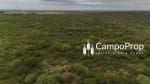 Campo de 315 has en venta en Logroño, Santa Fe - Miniatura 8