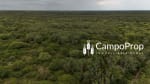 Campo de 315 has en venta en Logroño, Santa Fe - Miniatura 6
