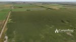 VENTA 796 HAS DE EXCELENTE CAMPO MIXTO EN ELISA, SANTA FE - Miniatura 3