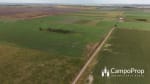 VENTA 796 HAS DE EXCELENTE CAMPO MIXTO EN ELISA, SANTA FE - Miniatura 10