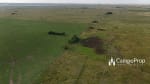 VENTA 796 HAS DE EXCELENTE CAMPO MIXTO EN ELISA, SANTA FE - Miniatura 13