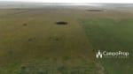 VENTA 796 HAS DE EXCELENTE CAMPO MIXTO EN ELISA, SANTA FE - Miniatura 21