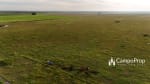 VENTA 796 HAS DE EXCELENTE CAMPO MIXTO EN ELISA, SANTA FE - Miniatura 25
