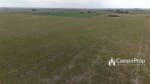 VENTA 796 HAS DE EXCELENTE CAMPO MIXTO EN ELISA, SANTA FE - Miniatura 34