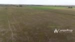 VENTA 796 HAS DE EXCELENTE CAMPO MIXTO EN ELISA, SANTA FE - Miniatura 36