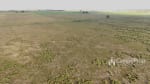 VENTA 796 HAS DE EXCELENTE CAMPO MIXTO EN ELISA, SANTA FE - Miniatura 39