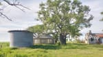 VENTA 796 HAS DE EXCELENTE CAMPO MIXTO EN ELISA, SANTA FE - Miniatura 46