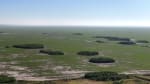 VENTA CAMPO DE 4.000 HAS PARA SIEMBRA ZONA ESTE DE TOSTADO SANTA FE - Miniatura 3