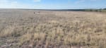 VENTA CAMPO 3.000 HAS. AGRÍCOLAS ZONA FORTÍN INCA, SANTIAGO DEL ESTERO - Miniatura 10