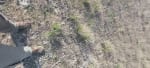 VENTA CAMPO 3.000 HAS. AGRÍCOLAS ZONA FORTÍN INCA, SANTIAGO DEL ESTERO - Miniatura 11
