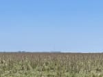 VENTA CAMPO ARMADO DE 3.000 HAS. ZONA LOGROÑO, SANTA FE - Miniatura 3