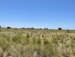 VENTA CAMPO ARMADO DE 3.000 HAS. ZONA LOGROÑO, SANTA FE - Miniatura 13