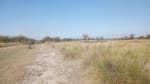 ALQUILER CAMPO 400 HAS. ZONA RUTA 77 Y 98, TOSTADO SANTA FE - Miniatura 5