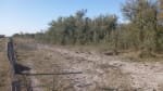 ALQUILER CAMPO 400 HAS. ZONA RUTA 77 Y 98, TOSTADO SANTA FE - Miniatura 2