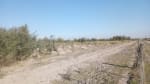 ALQUILER CAMPO 400 HAS. ZONA RUTA 77 Y 98, TOSTADO SANTA FE - Miniatura 7