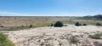 ALQUILER 105 HAS CAMPO NATURAL LIMPIO ZONA RUTA 290, POZO BORRADO SANTA FE - Miniatura 5