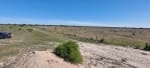 ALQUILER 105 HAS CAMPO NATURAL LIMPIO ZONA RUTA 290, POZO BORRADO SANTA FE - Miniatura 7