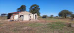 ALQUILER 105 HAS CAMPO NATURAL LIMPIO ZONA RUTA 290, POZO BORRADO SANTA FE - Miniatura 14