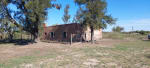 ALQUILER 105 HAS CAMPO NATURAL LIMPIO ZONA RUTA 290, POZO BORRADO SANTA FE - Miniatura 17