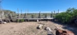ALQUILER 105 HAS CAMPO NATURAL LIMPIO ZONA RUTA 290, POZO BORRADO SANTA FE - Miniatura 22