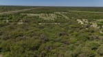 ALQUILER LOTES DE CAMPO - 3.533 HAS. GANADERAS ZONA TOSTADO, SANTA FE - Miniatura 10